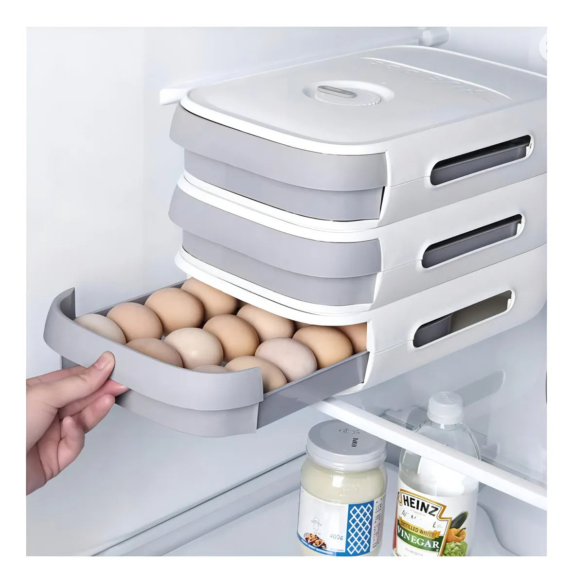 ORGANIZADOR DE HUEVOS CON CONTADOR