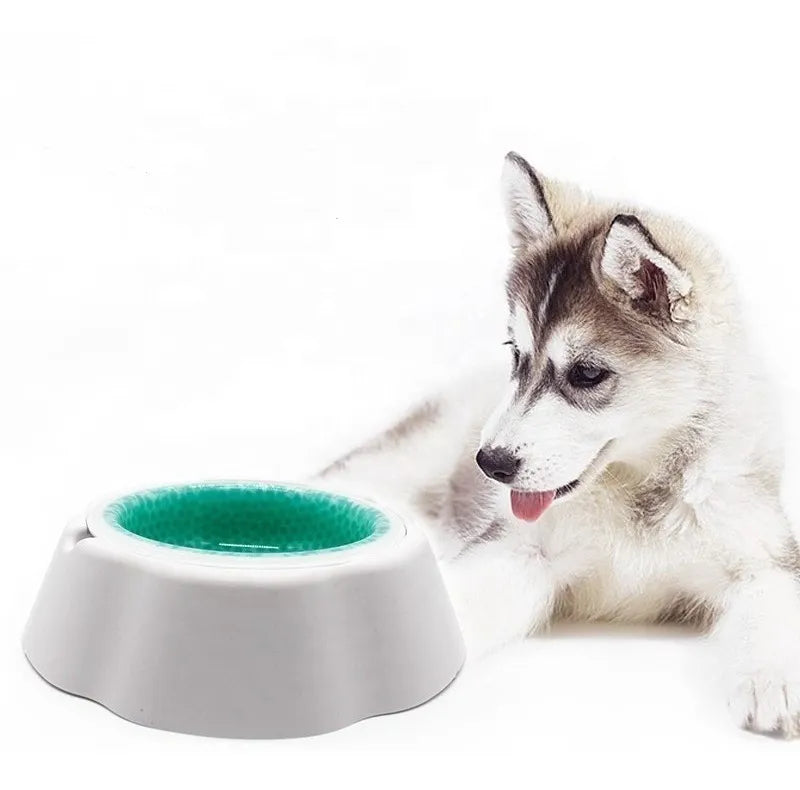 TAZON PARA MASCOTA FRESH & COLD