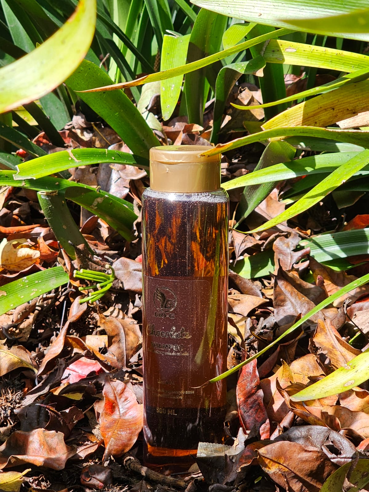 Shampoo de chocolate