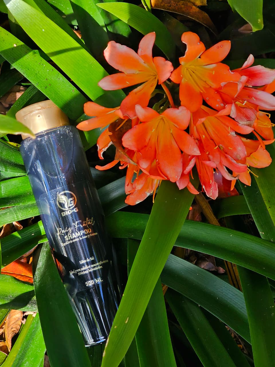 Raiz frutal Shampoo